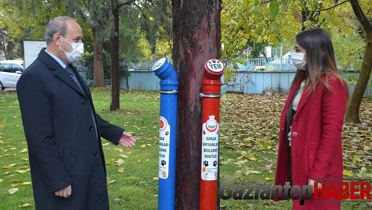 Oğuzeli'nde sokak hayvanları için örnek davranış