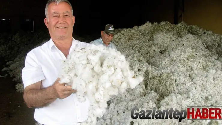 Pamuk fiyatı belirlendi