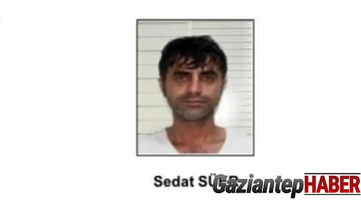 PKK'dan ayrılmak isteyen örgüt mensupları infaz ediliyor
