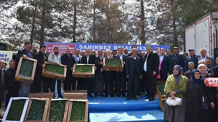 Şahinbey Belediyesinden çiftçiye 7 milyon adet fide desteği