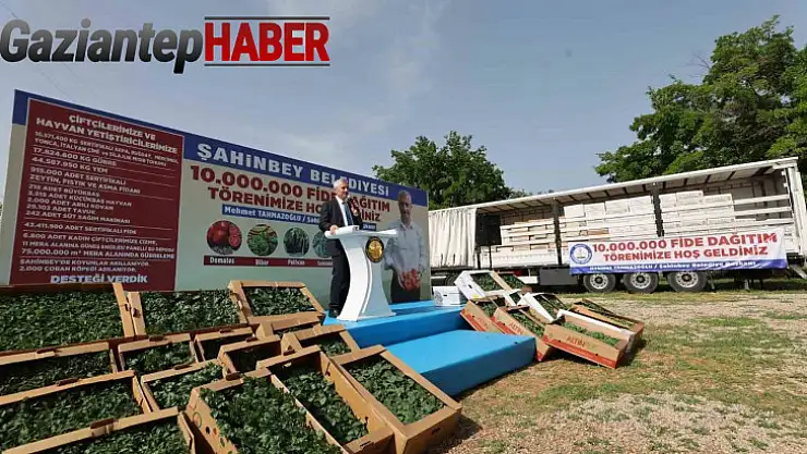 Şahinbey'de fide dağıtımı devam ediyor