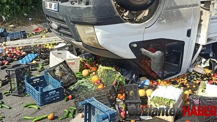 Sebze yüklü kamyonet takla attı