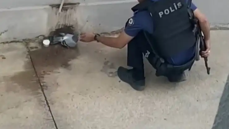 Sıcaktan bunalan güvercine polisten yardım eli