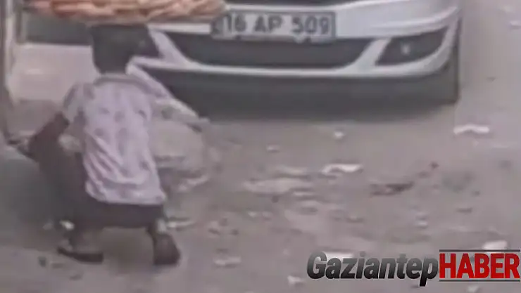 Simit satan çocuğun yavru kedi ve köpeğe merhameti yürekleri ısıttı