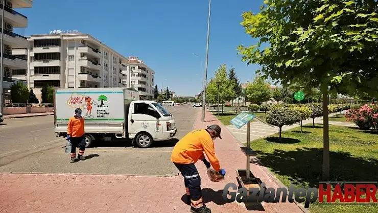 Sokak hayvanlarına su ve yiyecek desteği