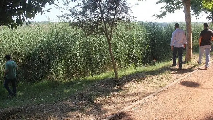 Sosyal medyada canlı yayından sonra intihar etti