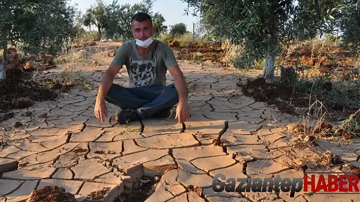 Su bolluğunda kuraklık yaşıyorlar