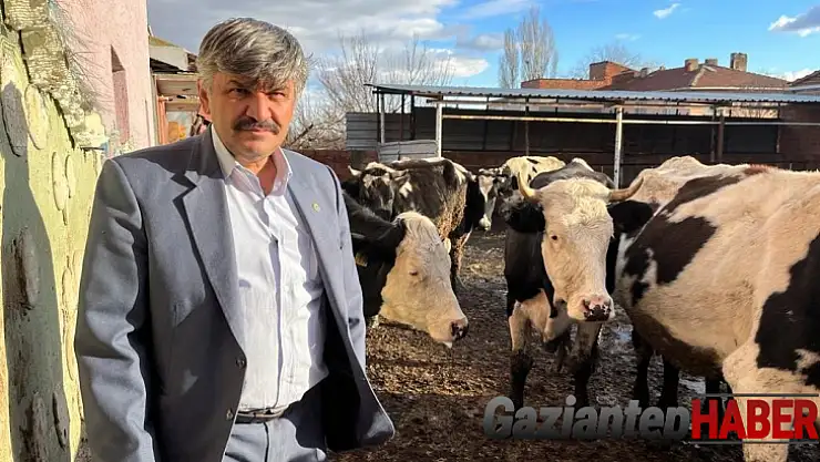 Süte gelen zamdan sonra yem fiyatları da yükseldi