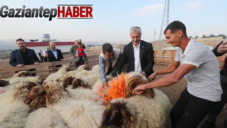 Tahmazoğlu 'Hayvancılığa desteğimiz sürecek'