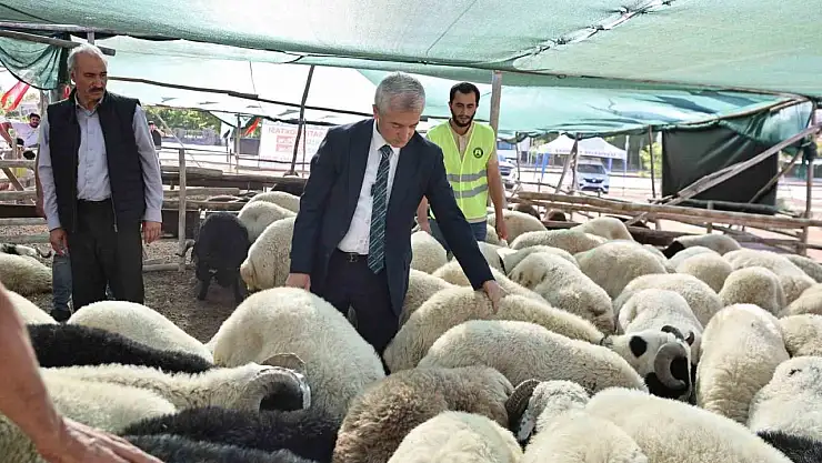 Tahmazoğlu kurban fiyatlarını açıkladı