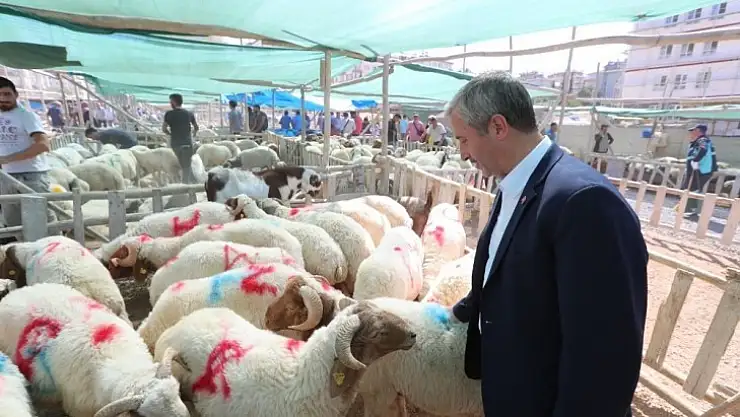Şahinbey Belediye'den 7 bin aileye 2 bin TL'lik kurbanlık yardımı