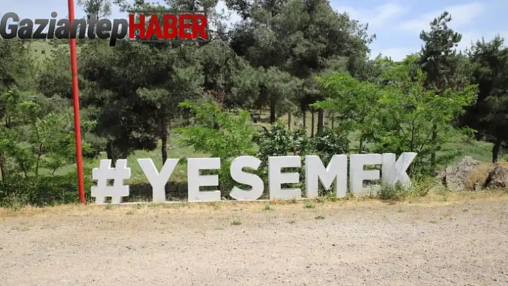 Yesemek'te sulama kanalı inşaatını durdurma kararına karşı istinaf başvurusu reddedildi