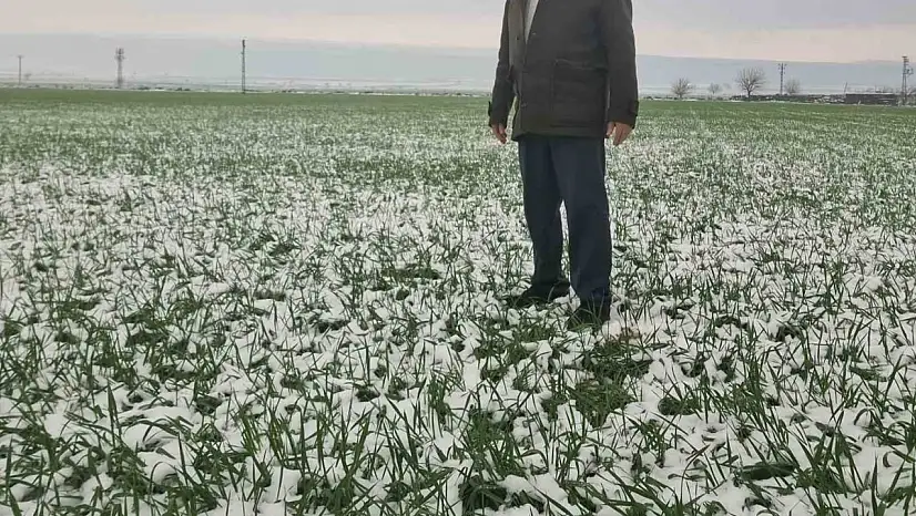 Araban Ovası'nda kar bereketi