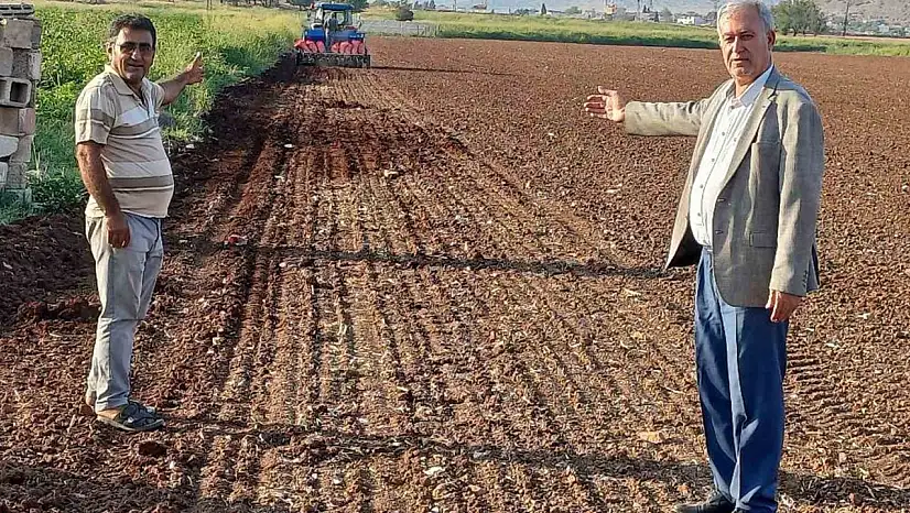 Araban Ovası'nda tecilli Araban sarımsağı ekimine başladı