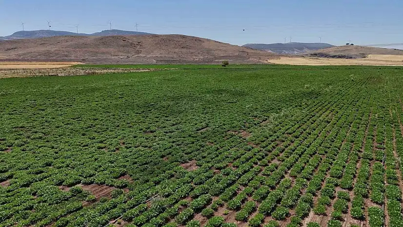 Büyükşehir, akıllı sulama sistemlerini Nurdağı ve İslahiye'de hayata geçirdi