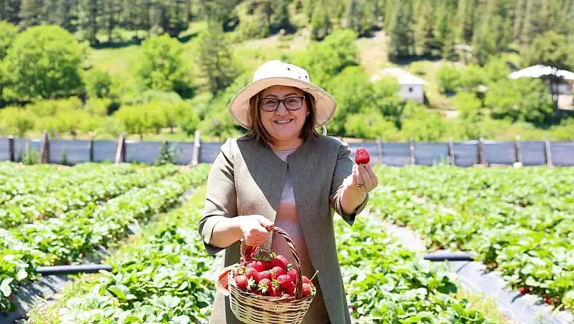 GAP Bölge Başkanlığı ile Huzur Yaylası Proje lansmanı düzenlendi