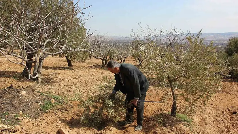 Gaziantep'te çiftçilerin umudu bahar yağmurlarında