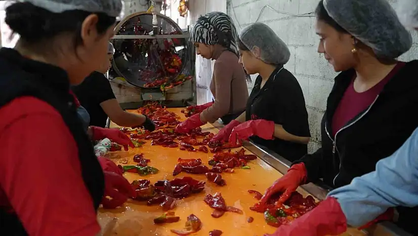 Gaziantep'te kadınların 'acı' mesaisi