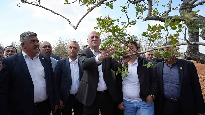 TZOB Genel Başkanı Bayraktar, Gaziantep'te dondan etkilenen bahçeleri inceledi