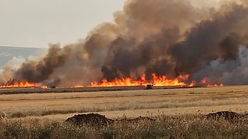 Araban Ovası'nda 8 ayrı noktada 2 bin dönüm ekili alan yandı