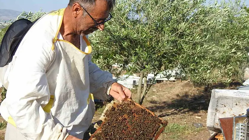 Doktorun annesine bal tavsiyesi hayatını değiştirdi