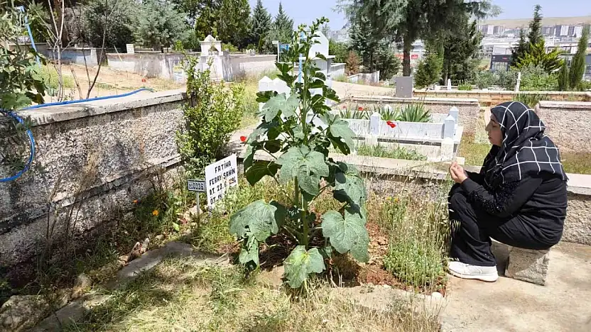 Feray Şahin, Anneler Günü'nde mezarı başında anıldı