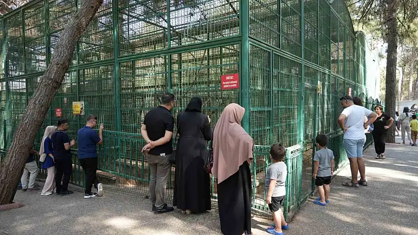 Gaziantep Doğal Yaşam Parkı'nda 8 ayda bir yılın rekoru kırıldı