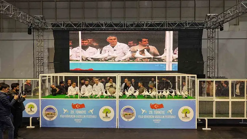 Gaziantep'te '29. Türkiye Filo Güvercin Güzellik Festivali' düzenlendi