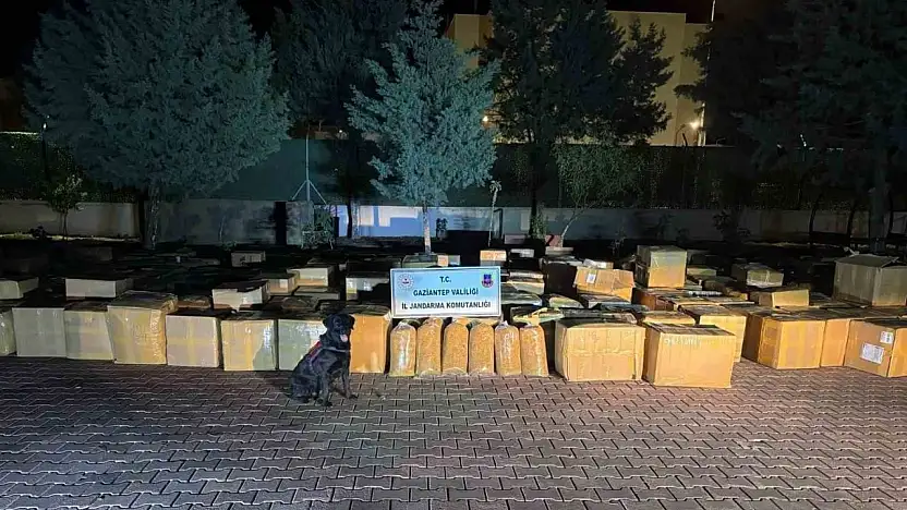 Gaziantep'te 7 ton kaçak tütün ele geçirildi: 1 gözaltı