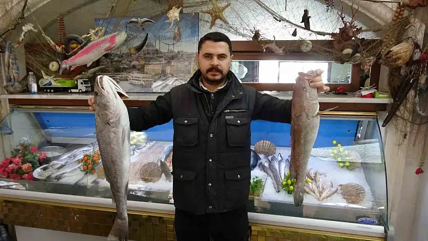 Gaziantep'te balık, kebabın tahtını sallıyor