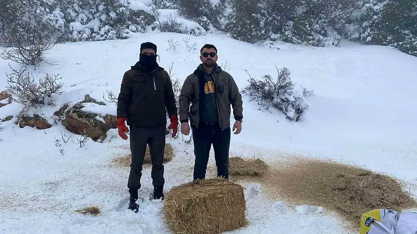 Gaziantep'te karlı havada aç kalan yaban hayvanları için doğaya yem bırakıldı