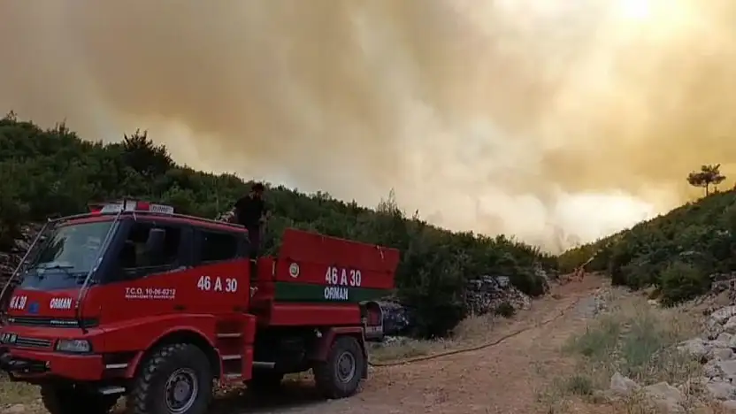 Gaziantep'te orman yangını: Yangına havadan ve karadan müdahale ediliyor
