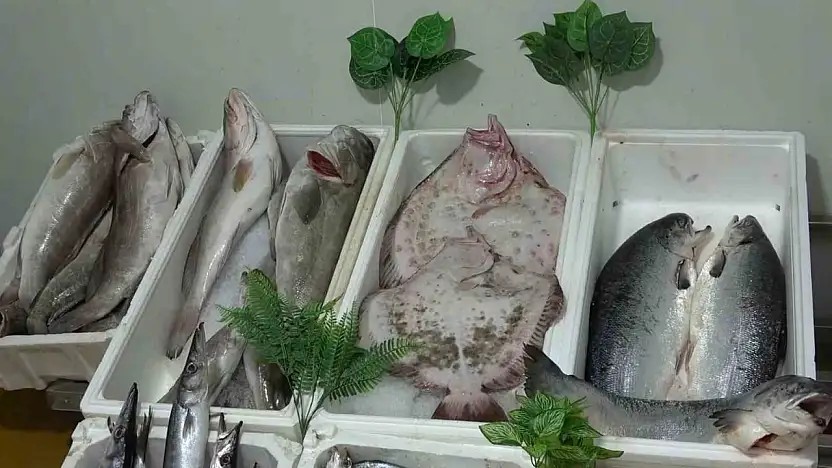 Kebap şehri Gaziantep'in yeni gözdesi balık