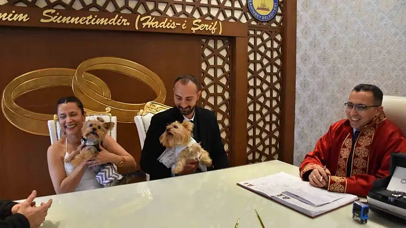Köpekleriyle birlikte mutluluğa 'evet' dediler