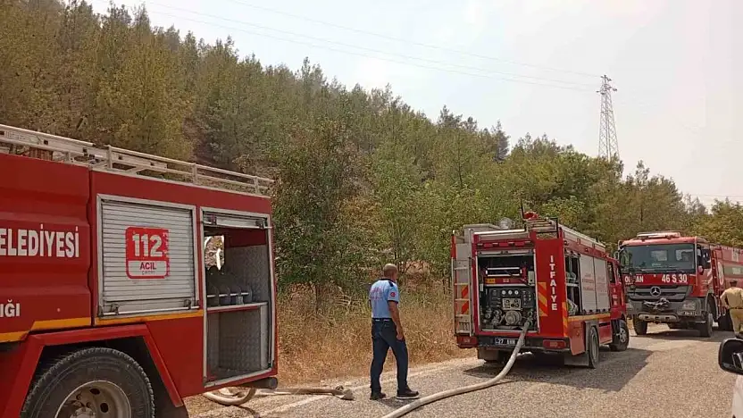 Nizip Belkız Köyü mesire alanında yangın
