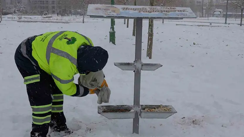 Şehitkamil sokak hayvanlarını unutmadı