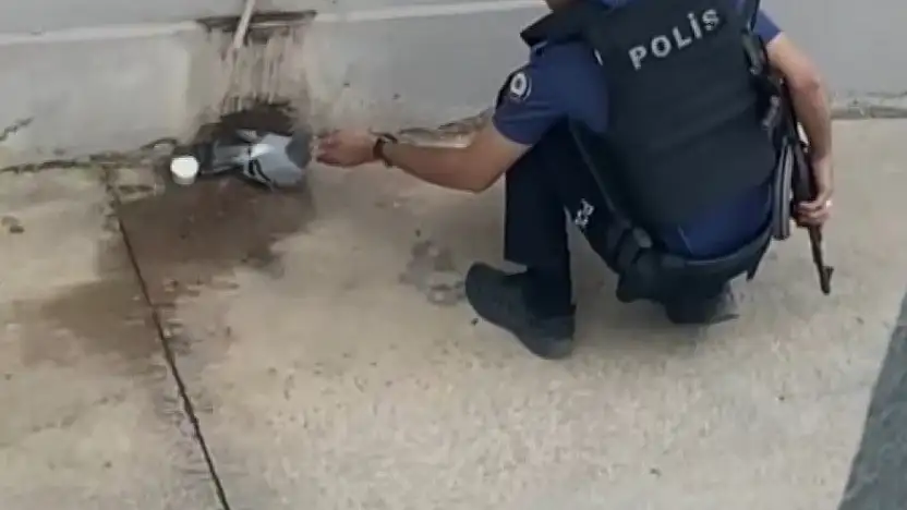Sıcaktan bunalan güvercine polisten yardım eli