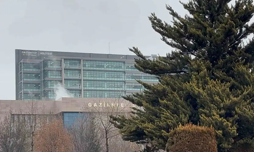 24 yaşındaki Adem Subaşı'nı öldüren sanığa 10 yıl 6 ay ceza