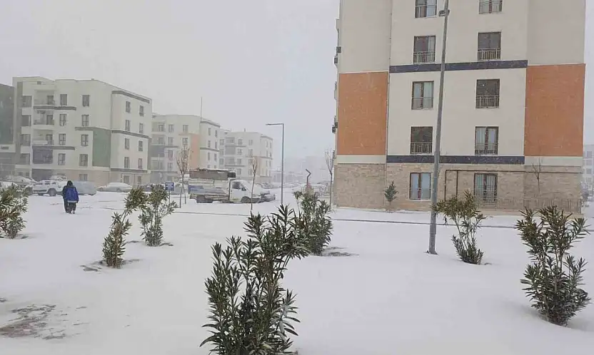 Araban Ovası'na kar yağışı çiftçilerin yüzlerini güldürdü