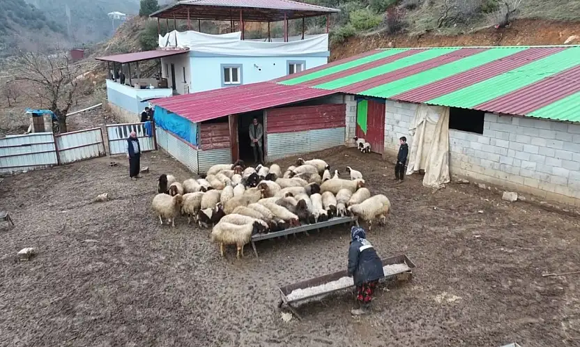 Depremzede besici devlet desteğiyle hayata tutundu