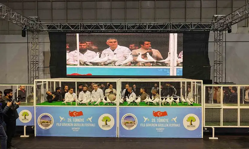 Gaziantep'te '29. Türkiye Filo Güvercin Güzellik Festivali' düzenlendi