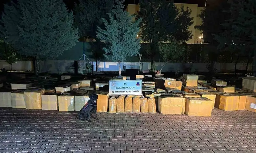 Gaziantep'te 7 ton kaçak tütün ele geçirildi: 1 gözaltı