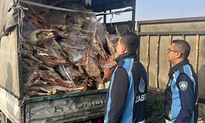 Gaziantep'te kamyonet kasasında kilolarca bozuk et ele geçirildi