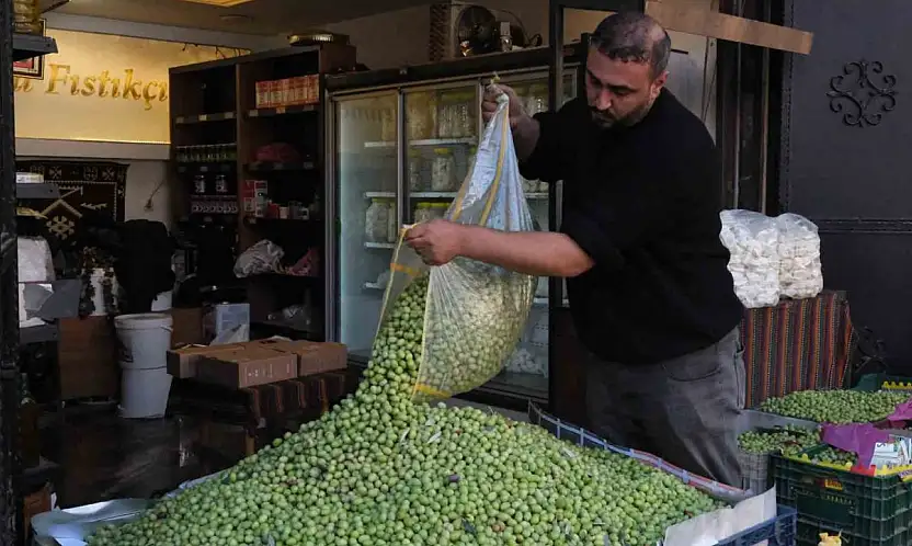 Gaziantep'te yeşil zeytin fiyatları sabit kaldı