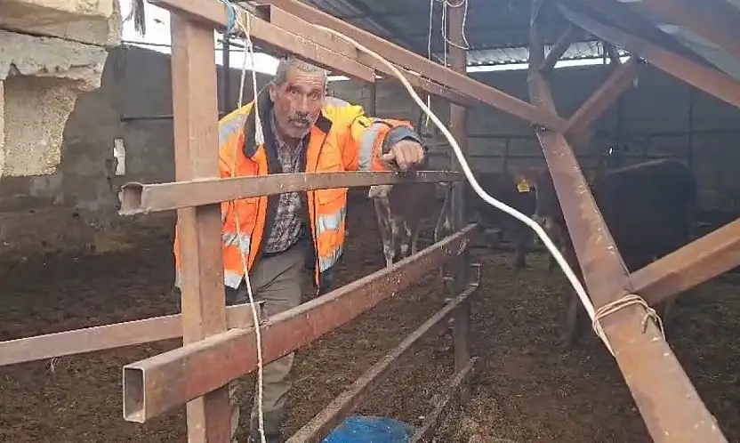 Gaziantep'te yoğun kar yağışı sonrası ahırın çatısı çöktü