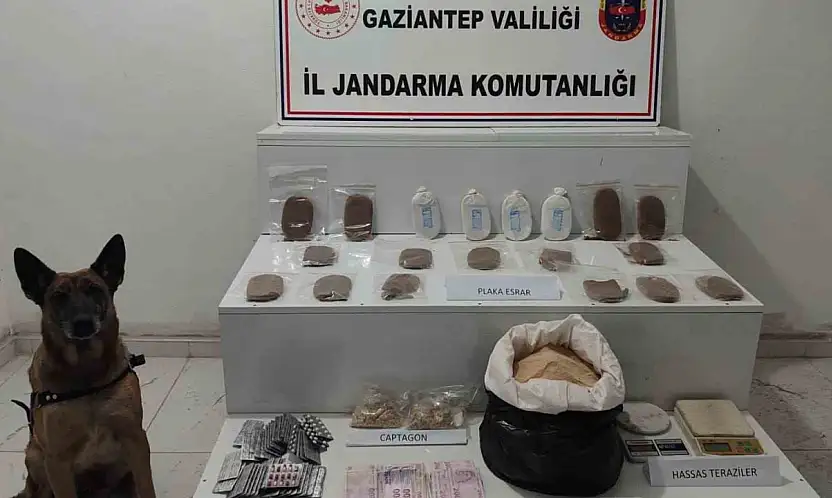 Jandarmanın uyuşturucu ve kaçakçılık operasyonlarında 10 şahıs tutuklandı