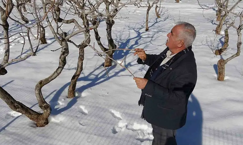 Kar yağışı Gaziantep'te çiftçinin yüzünü güldürdü