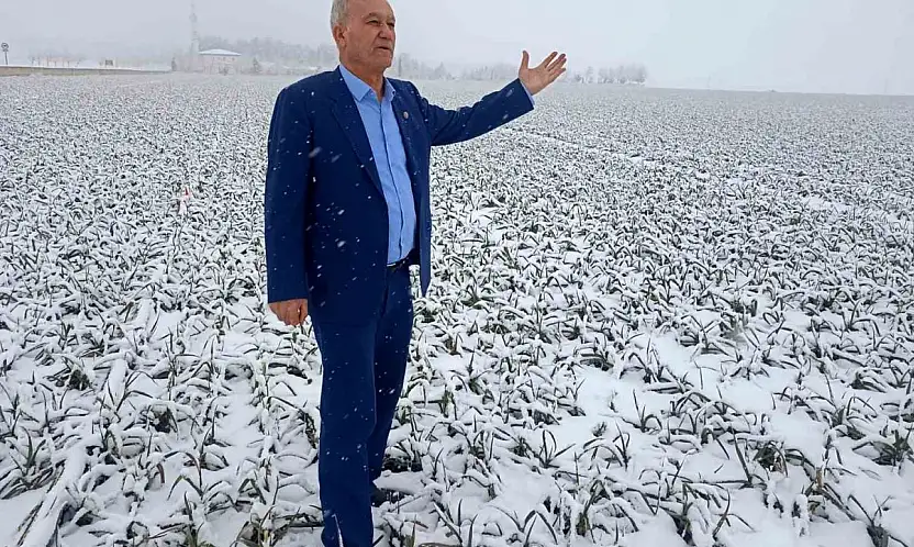 Kar yağışı sarımsak üreticisinin yüzünü güldürecek