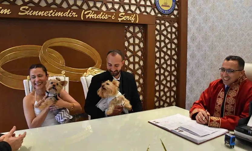 Köpekleriyle birlikte mutluluğa 'evet' dediler