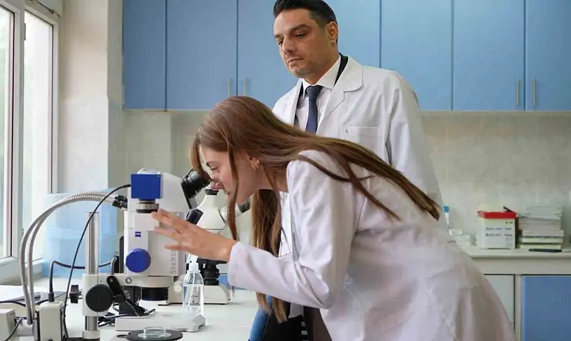 Kuraklığın ardından sinek istilası başladı